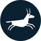 Campground partner logo