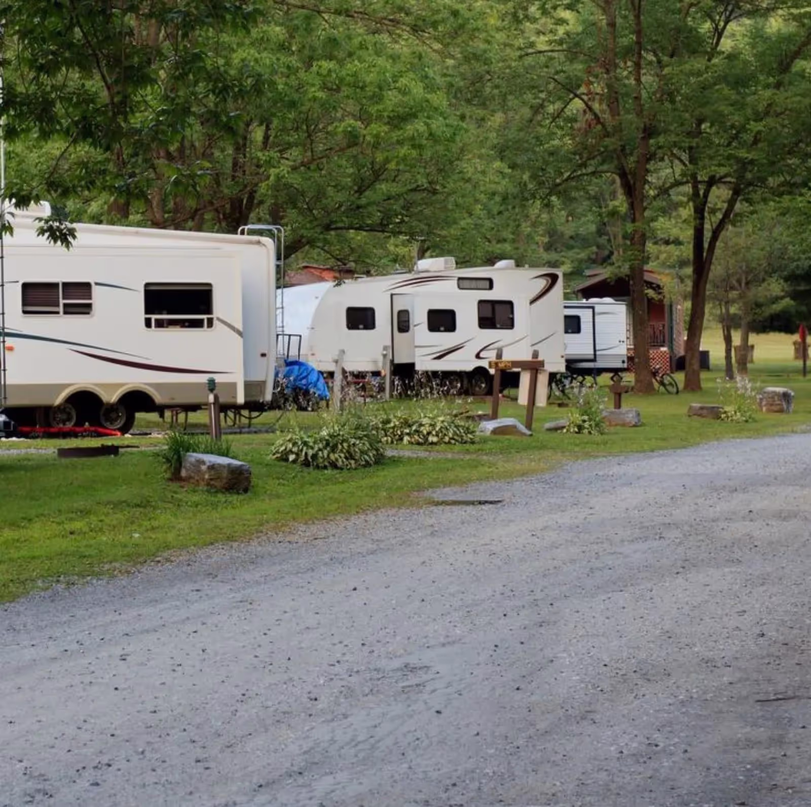 RVs parked across a scenic public park managed with RoverPass