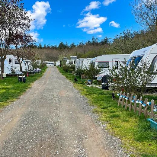 Mid-size campground with RVs along a gravel road